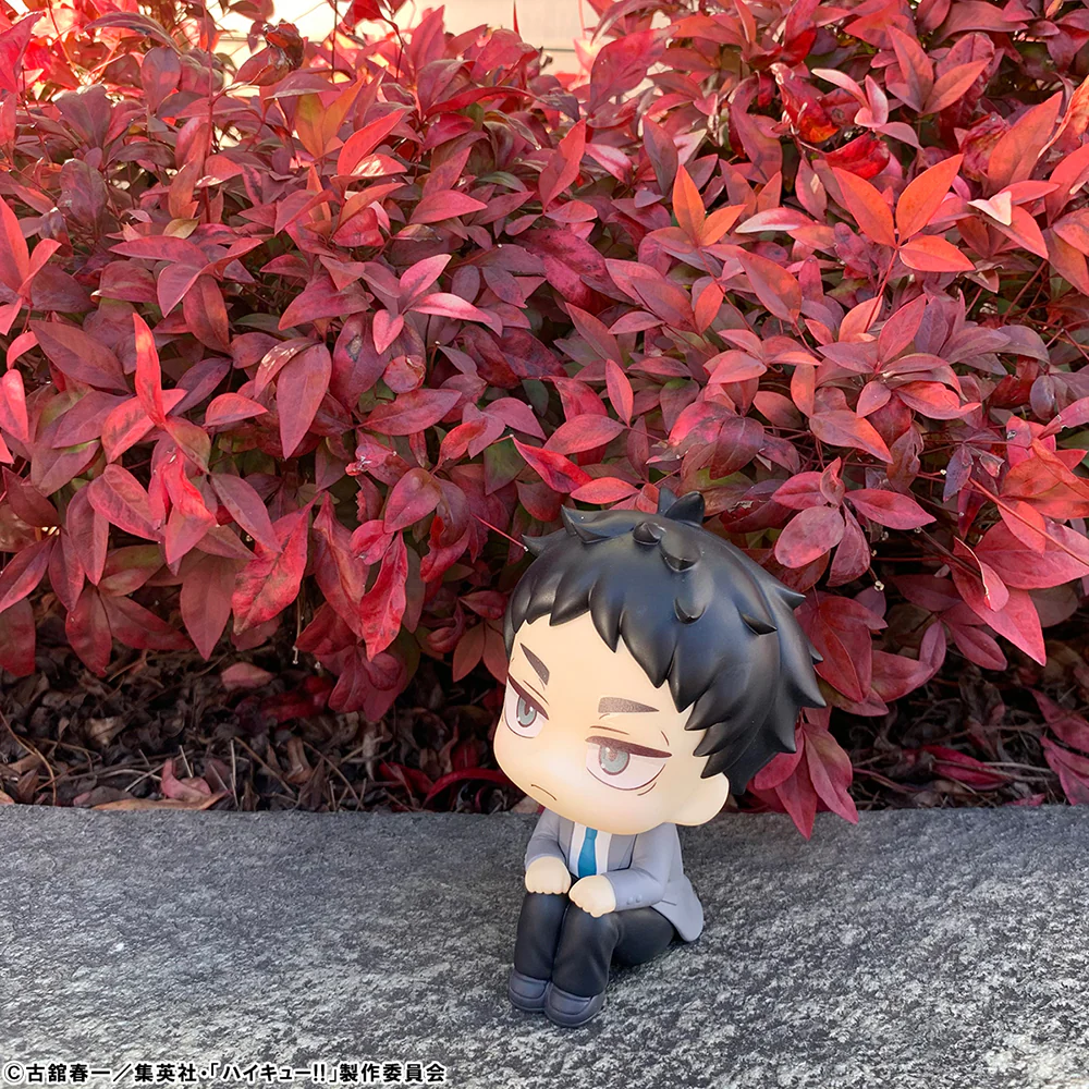 [Pre-order] Haikyu!! - Kotaro Bokuto & Keiji Akaashi Set [with gift] Lookup Mini Figure MegaHouse - Image 23