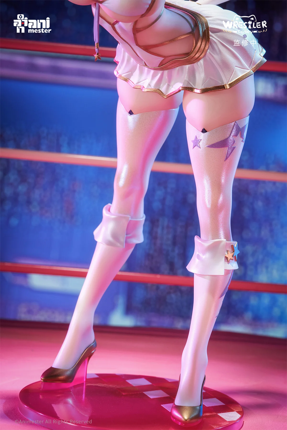 [Pre-order] Original Character - Casey (Wrestler Ver.) 1/6 Scale Figure AniMester - Image 8