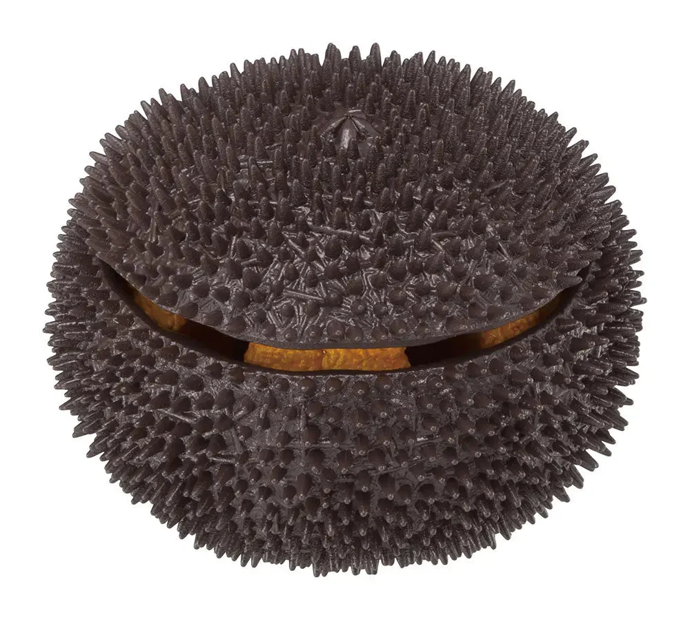 [Pre-order] Sea Urchin PUZZLE - Sea Urchin PUZZLE Megahouse - Image 4