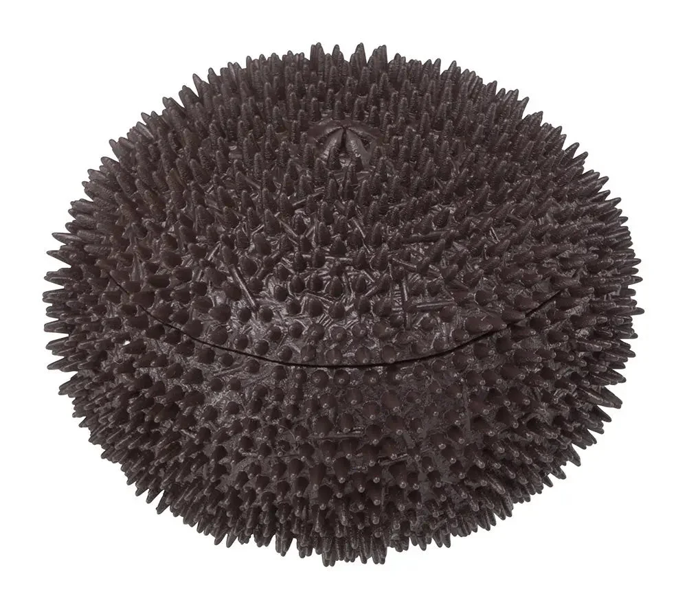 [Pre-order] Sea Urchin PUZZLE - Sea Urchin PUZZLE Megahouse - Image 5