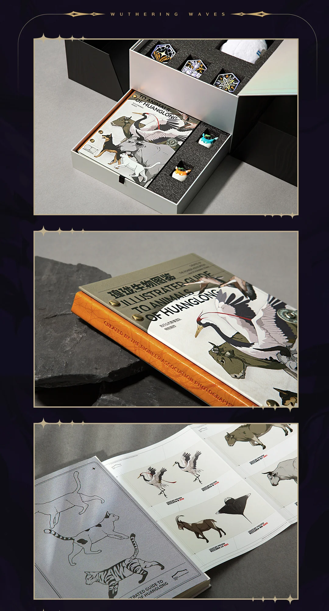 Wuthering Waves - Release Celebration Gift Box KURO GAMES - Image 9