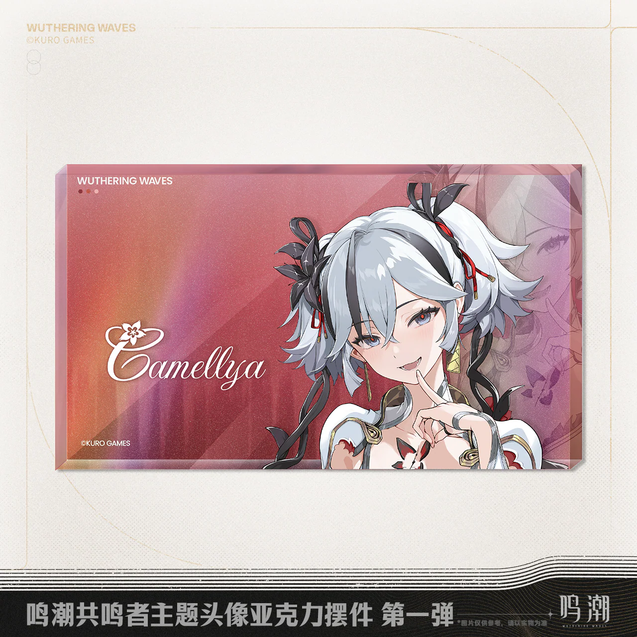 Wuthering Waves - Resonator Themed Avatar Acrylic Block Vol.1 KURO GAMES - Image 2