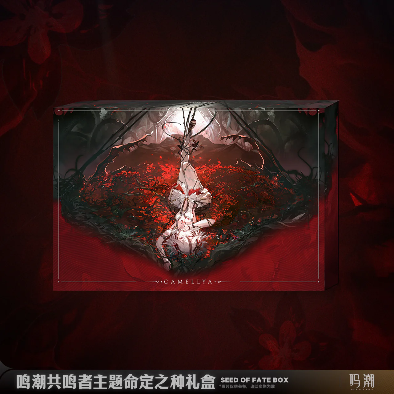 Wuthering Waves - Resonator Themed Seed of Fate Box KURO GAMES - Image 5